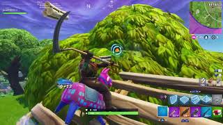 Fortnite PS4 Win-Combat pro player 11 kills