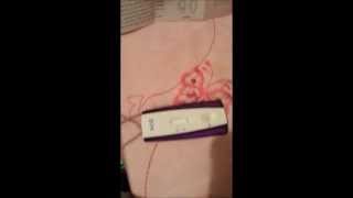 First Signal Cheap Live Pregnancy Test