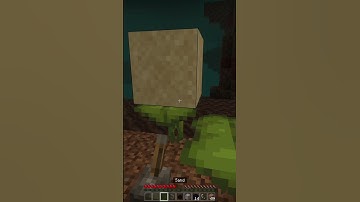 Minecraft Gravity block Duplication glitch 😱 (Bedrock only)