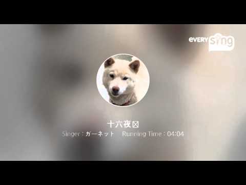 [everysing] 十六夜涙