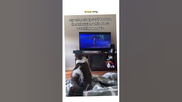 Kittyo like dawg what turn that back on it was going with the prvnci