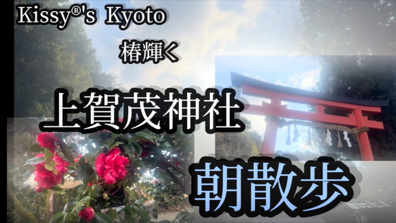 Kyoto 上賀茂神社朝散歩