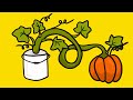 Hydroponic Pumpkins From Seed to Harvest - Growing with the Kratky Method