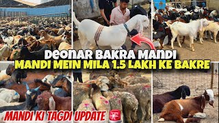 Deonar Bakra Mandi | Dhakka Gate Update | Aaj Ka Live Scene 😱 Bakra Rate &amp; Heavy Crowd 