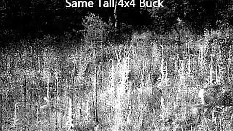 Provo Canyon Trail Cams