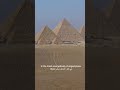CulturVator By Art D Égypte Meet The Artist Dionysios تعرف على الفنان ديونيسيوس CulturVator By Art D Égypte Meet The Artist Dionysios تعرف على الفنان ديونيسيوس