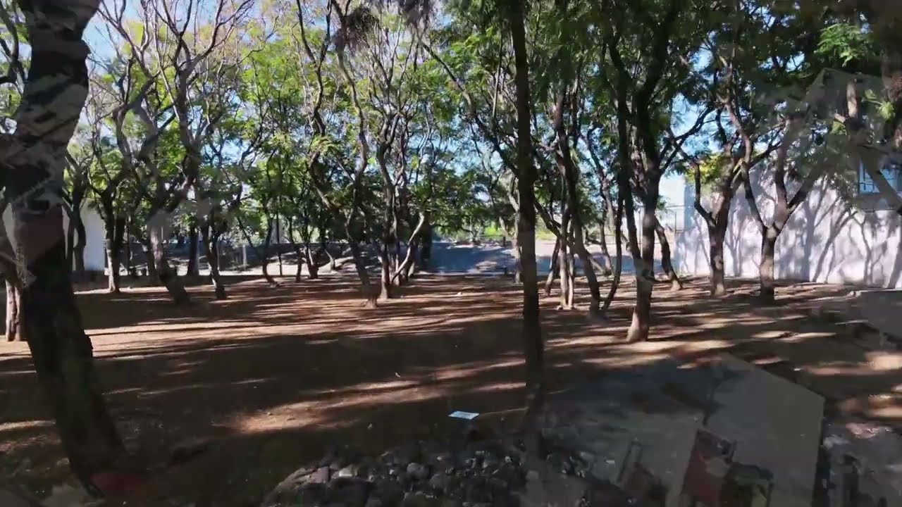 Parque familiar pet friendly - La Martinica