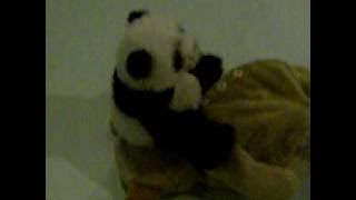 gassy panda