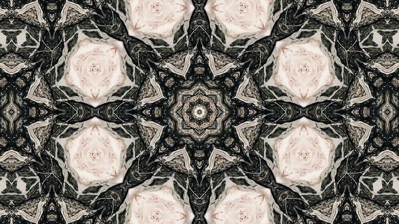 The Mundance Realm ☯ Terence McKenna