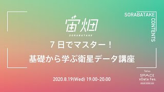 7日でマスター！基礎から学ぶ衛星データ講座～6日目～ 「TellusのHow to Useを参考に実際に開発環境を見てみよう」