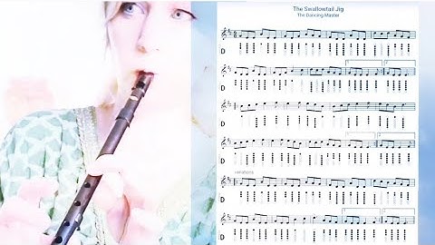 The Swallowtail Jig  Play along ~ Tin Whistle and Guitar in C #tinwhistle #celticmusic