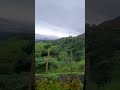 Paisagem da Serra de São Geraldo 1