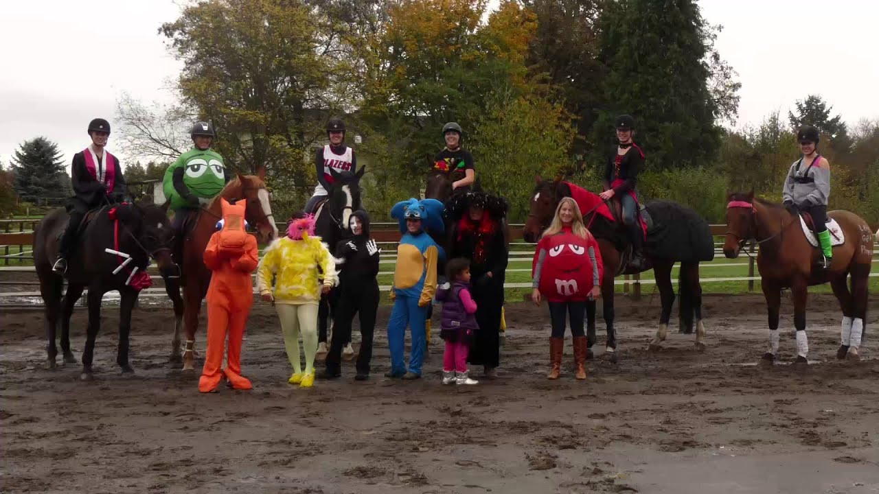 Halloween Horse Play YouTube
