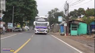 NGOYOD BUS TUNGGAL JAYA KIDS PANDA JETBUS 5 FULL BASURI MODUL DAV MUSIC AIRHOREN BIKIN CANDU🔥