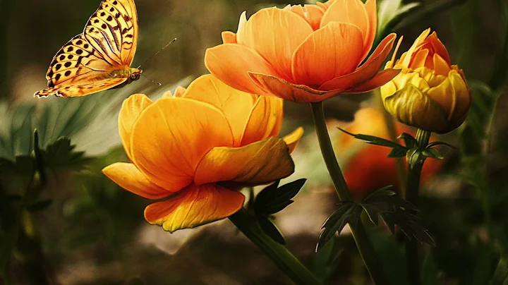 Jesus Sacrifice For Us - Debra Durham #devotional ...