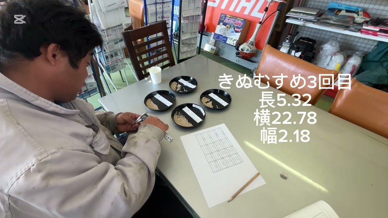 にじのきらめき！今年の田植えは何の品種がいいか？考えてる人必見です