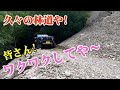 数十台のバイクに追い越され、久々の林道満喫しました!皆さんもワクワクしてや～