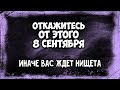 Откажитесь от этого 8 сентября Иначе вас ждет нищета