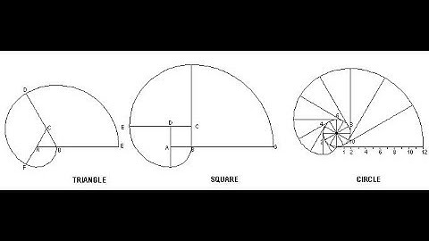 How to draw an involute. | Involute of a triangle and square
