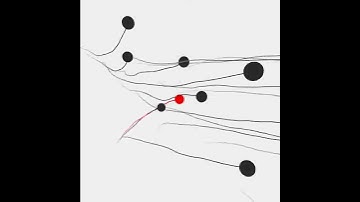 Red of flock. Draw by openFrameworks