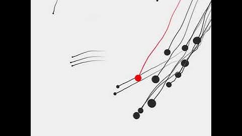 Red of flock. Draw by openFrameworks