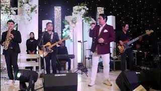 donnie sibarani ex Ada band - Jadikan Aku Raja || Live Wedding Gig