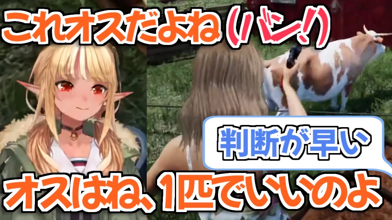 【ホロライブ切り抜き】オスの動物を躊躇なく処分するフレアちゃん【不知火フレア】