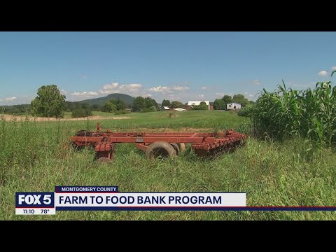Montgomery Co Farm to Food Bank program addresses growing food insecurity FOX 5 DC
