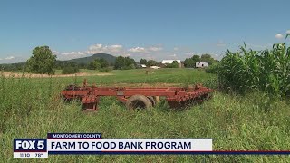Montgomery Co. 'Farm to Food Bank' program addresses growing food insecurity | FOX 5 DC