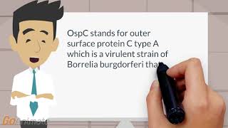 Borrrelia with OspC