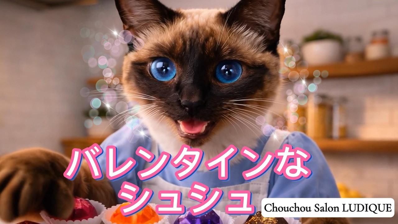 【美容師シュシュの休日】＜バレンタインなシュシュ＞宝石チョコは魅惑の○○💎✨大好きなイケメンにゃんこ『ルーク😼』登場💗