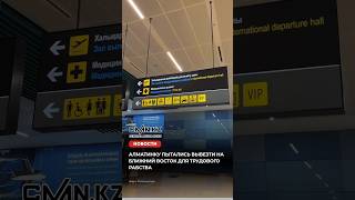 Алматинку пытались вывезти на Ближний Восток для трудового рабства