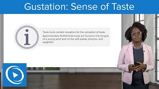 Gustation: Sense of Taste – Physiology | Lecturio Nursing screenshot 1