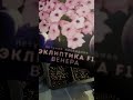 25.01.23. промежуточный результат всхожести семян петунии ,проверяйте наличие семян.