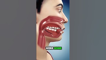 If You Lost Your Tongue🤔 #animation #shorts #youtubeshorts #3d #3danimation #youtubeshort