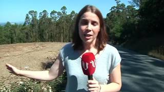 Carral o la crónica de una fatalidad