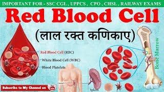 Red Blood Cells(लाल रक्त कणिकाए) | RBC | Fuction of red blood cells in hindi | ssc campus mp4
