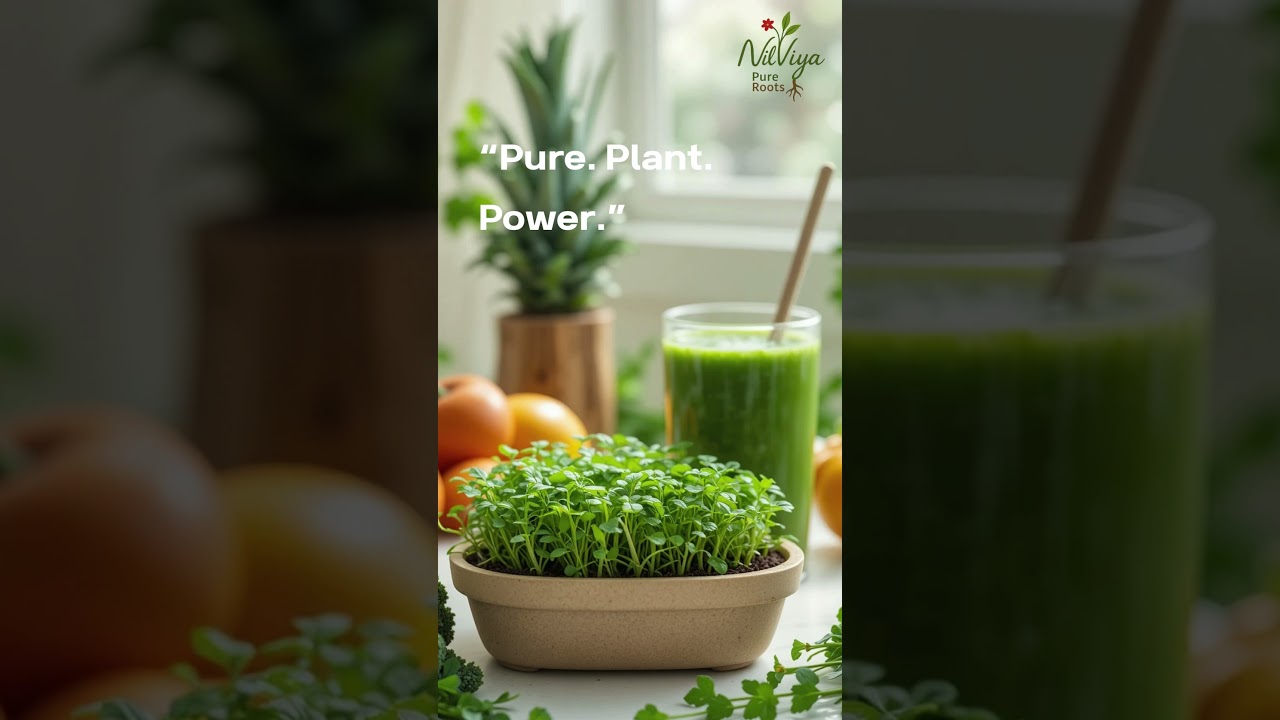 Vegan  + Microgreen Benefits: The Perfect Wellness Synergy