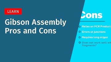 Gibson Assembly Pros and Cons