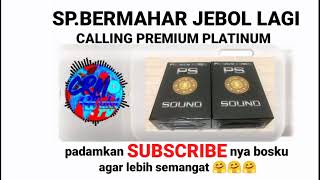 suara panggil burung walet terbaik | calling premium platinum sp bermahar jebol protect