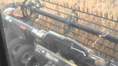 Soybeans in Alberta with MacDon FD70 header