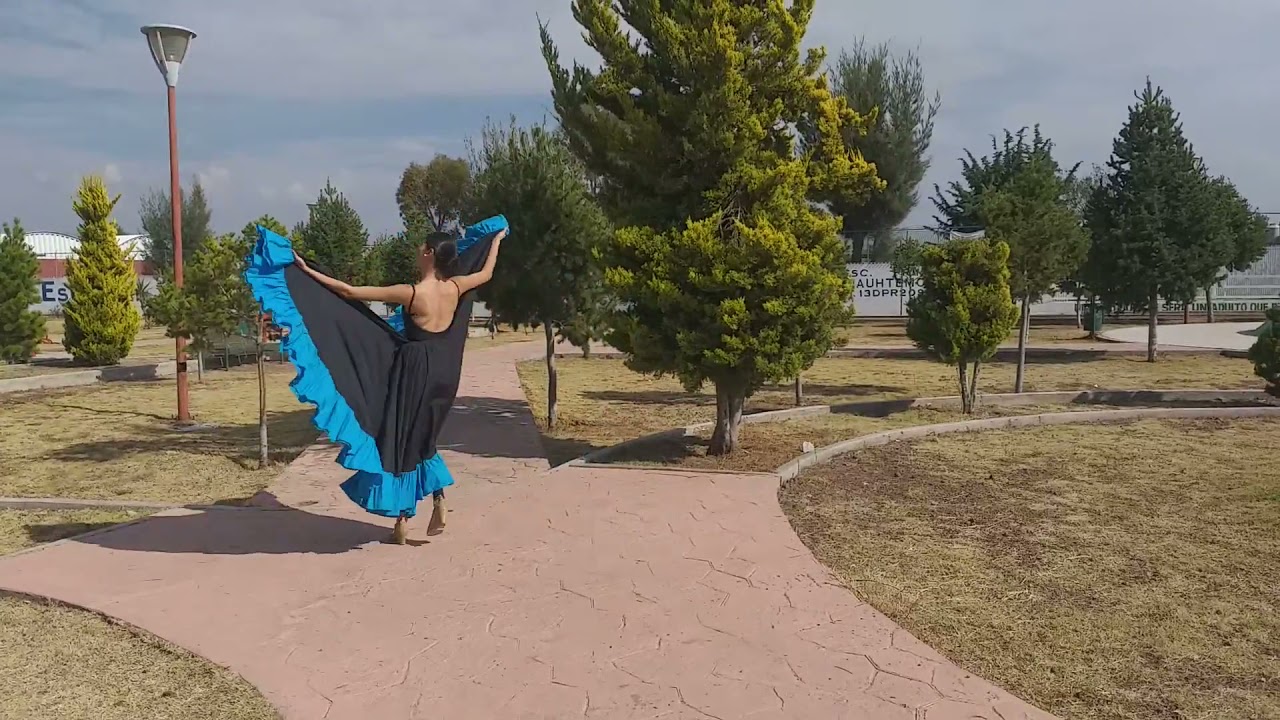 El son de la negra, Hidalgo Folklórico Danza🇲🇽.