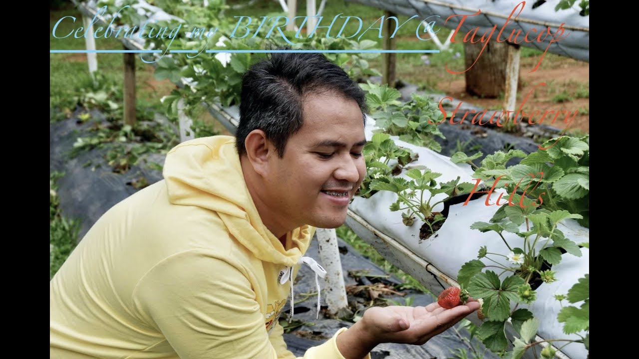 How I Spent My Birthday at Taglucop Strawberry Hills