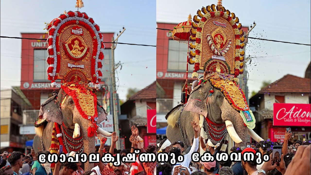 മാസ്സ് എൻട്രിയുമായി ഗോപാലകൃഷ്ണനും കേശവനും 💥💪🏻Puthuppally Kesavan And Nandhilath Gopalakrishnan 