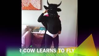 Supercow learns to fly screenshot 5