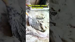 Así deje este trapero #satisfying #limpiezaporzonas