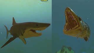 Feed & Grow  Fish Mako Shark AND Muskullenge Vs Megalodon
