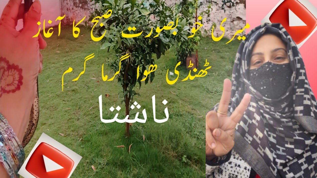 صبح کی تازگی _ سورج کی روشنی _لذیذ ناشتہ. || سکون بھری صبح کا اغاز || کڑک چائے کے ساتھ