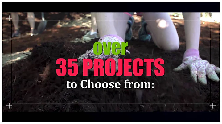 Folsom Community Service Day Promo