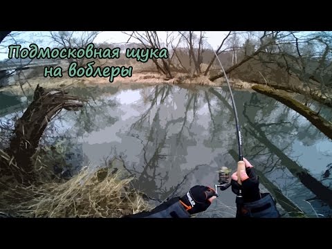 Закрываем сезон открытой воды. Подмосковная щука.